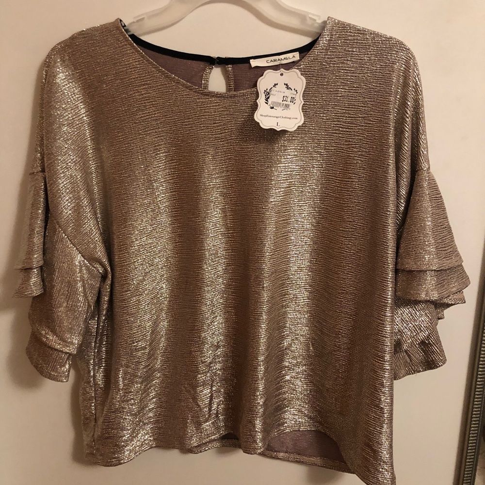 Shimmer ruffle sleeve top